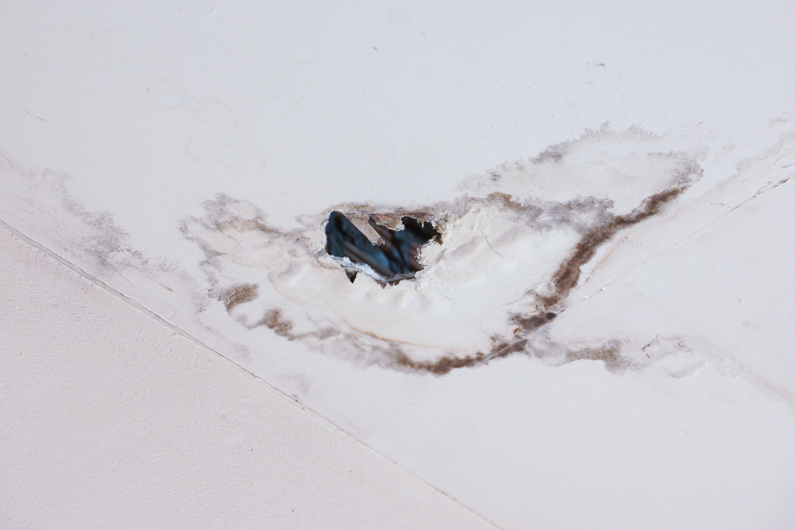 Slab Leaks